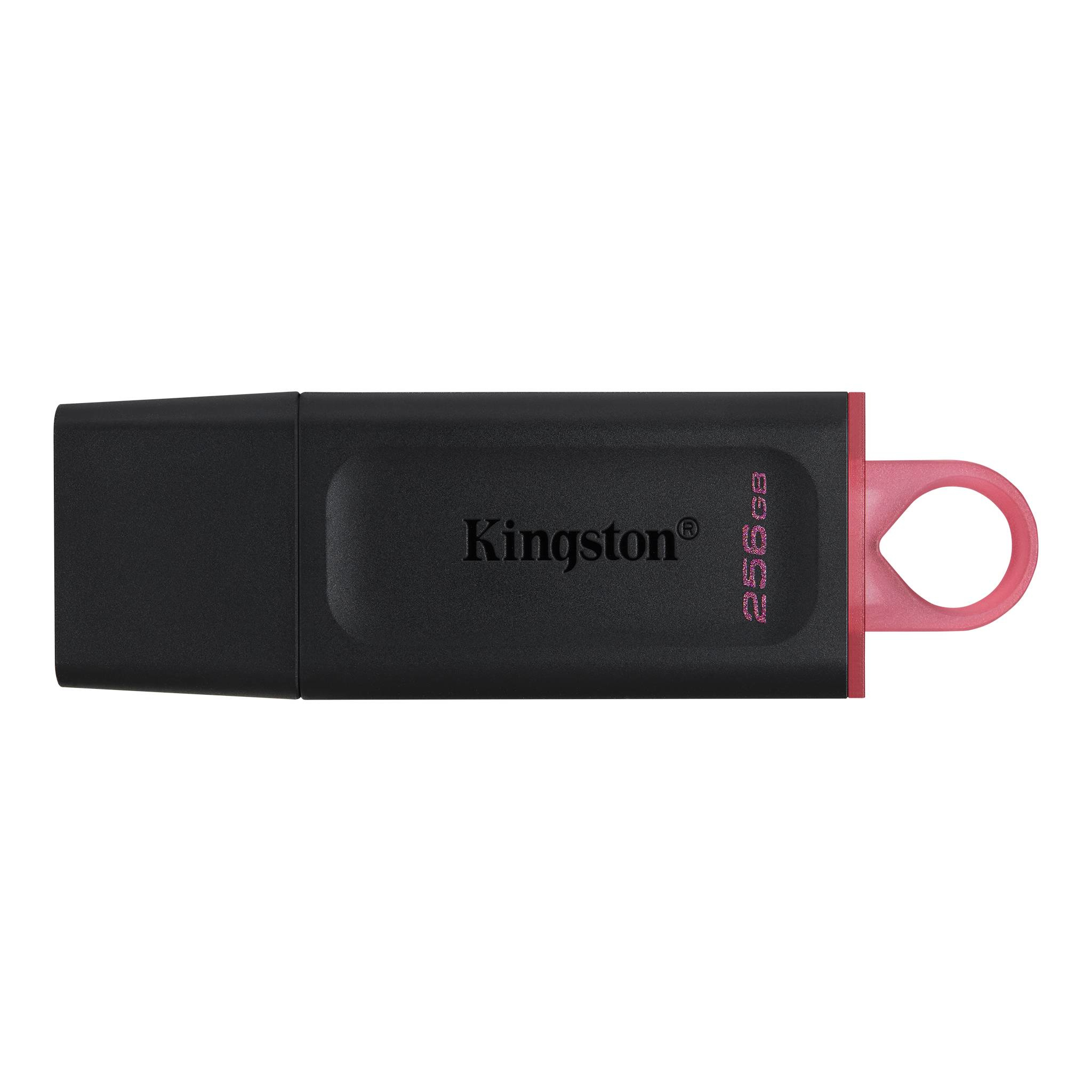 Memoria Usb Flash Kingston 256 Gb Usb 3.2 Gen 1 (Dtx/256Gb)
