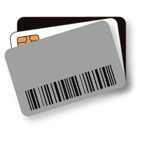 Tarjeta Pvc Zebra Blanco 500 Pzs Mifare 1K Rfid 800059-304