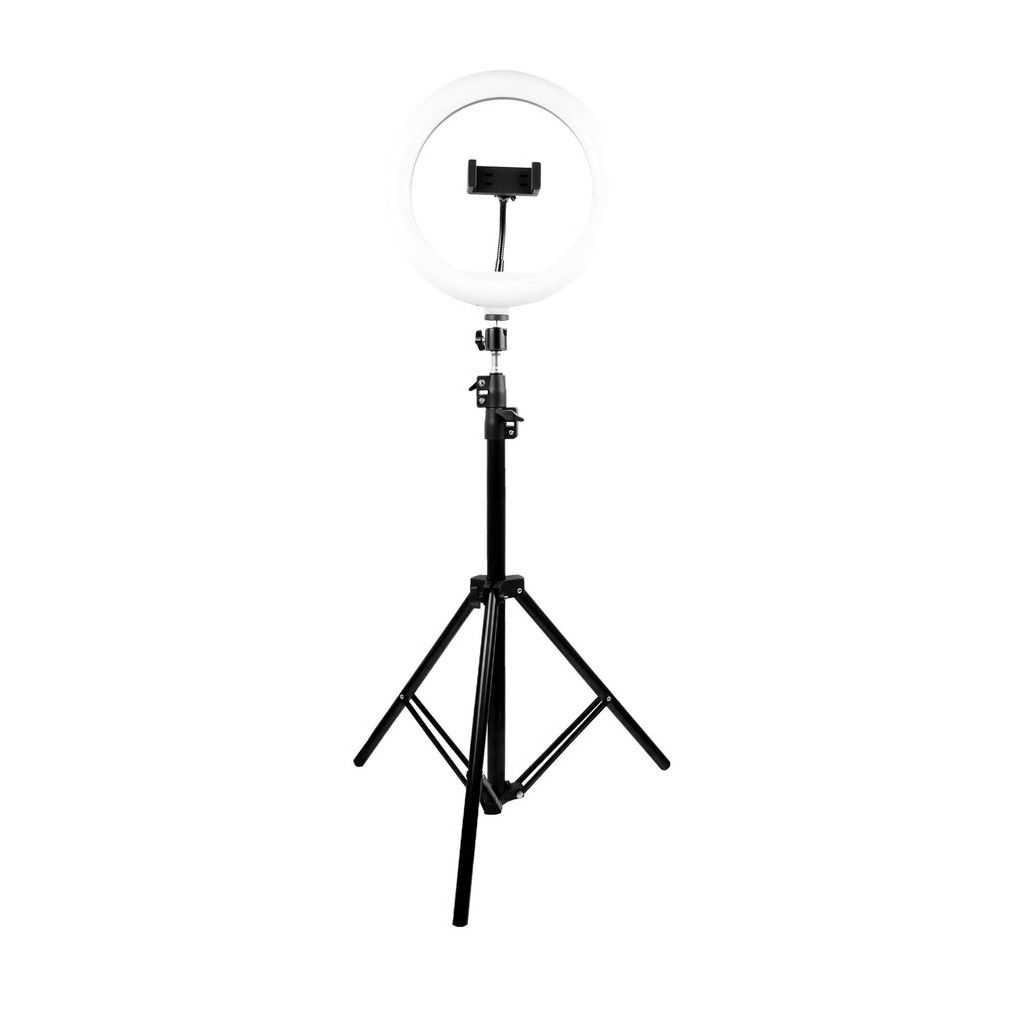 Aro De Luz Led Perfect Choice 10" Con Base Expandible Y Tripié Para Streaming Lumeria Pc-120407