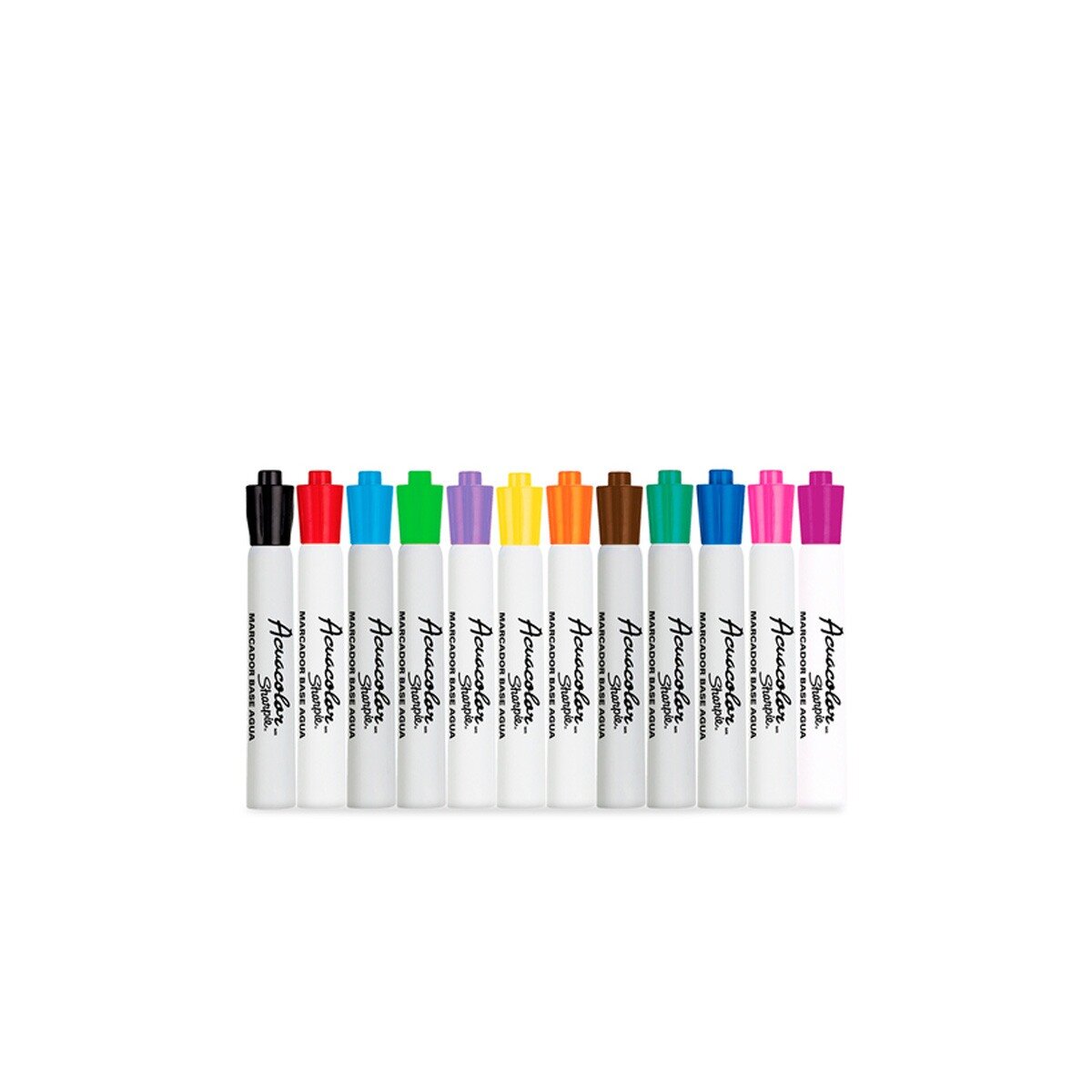 Marcador Berol Base Agua Acuacolor Estuche Paq C/12