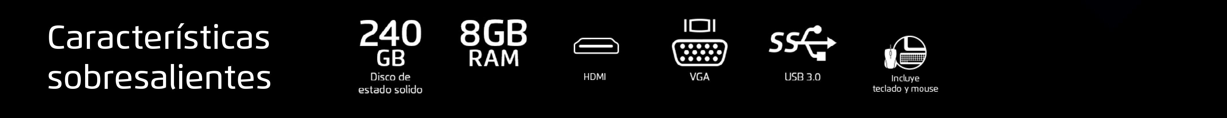 Características sobresalientes